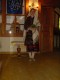 Thumbs/tn_DSC04852.jpg