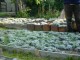 Thumbs/tn_DSC04876.jpg